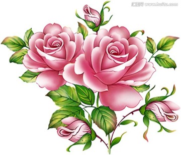 粉红玫瑰（四色通道分色）