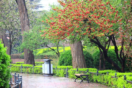 郑州碧沙岗公园