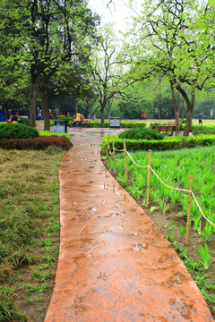 路