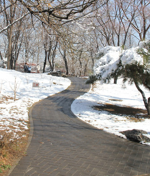 雪景公园小路