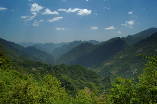 湖北神农架自然保护区