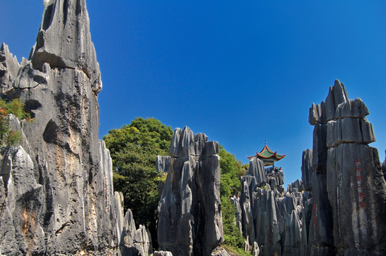 云南石林景区