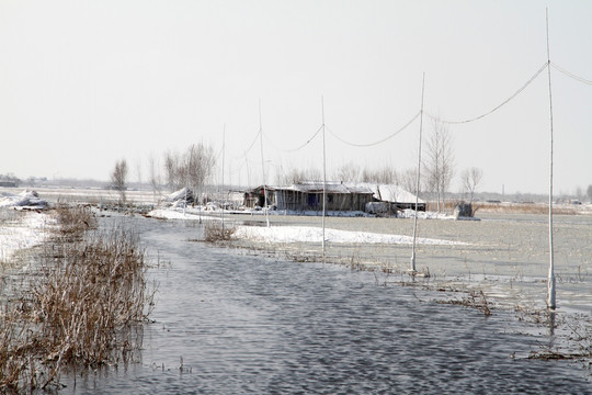 乡村雪景