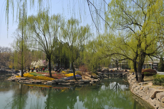 中山公园