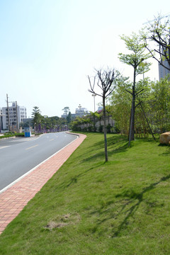 三亚风光 草地 公路 椰树 走