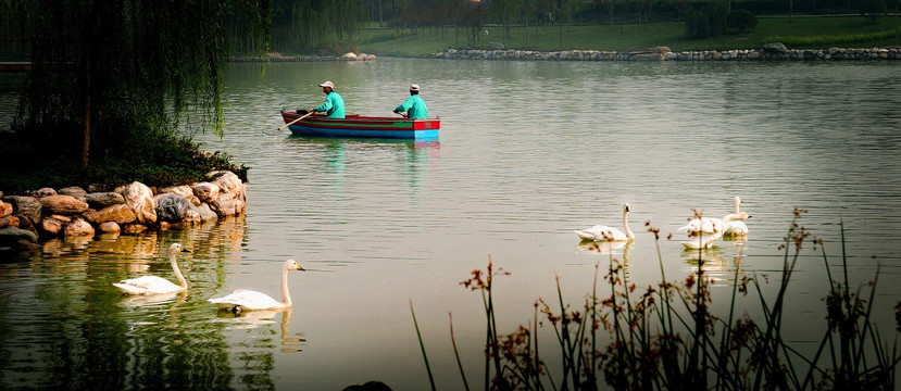 湖景小舟