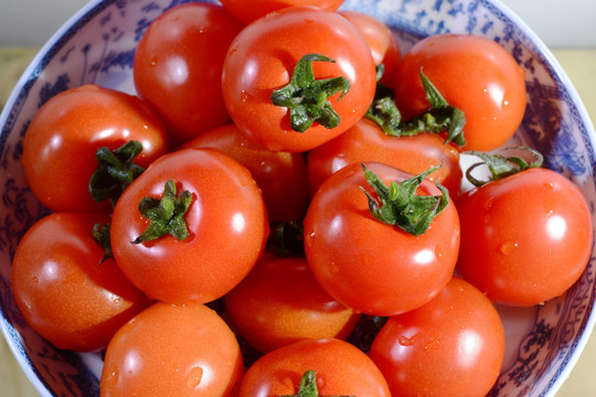 水果番茄西红柿