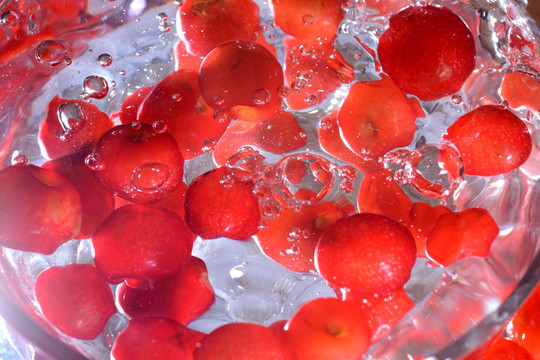 水中水果樱桃