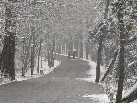 琅琊古道残雪