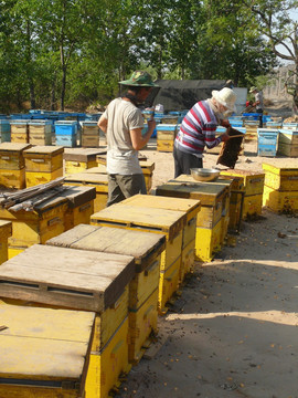 养蜂人和蜂箱