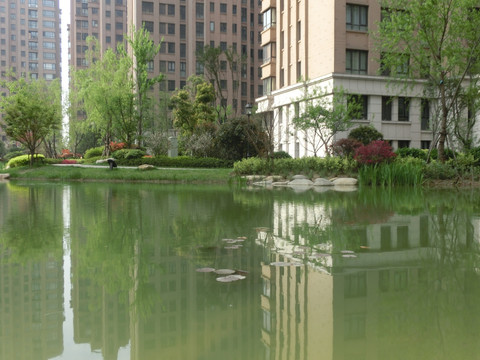 小区绿化