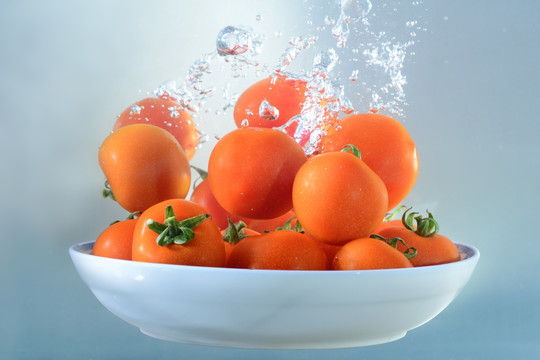 水中水果番茄