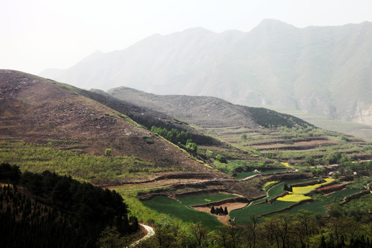 嵯峨山