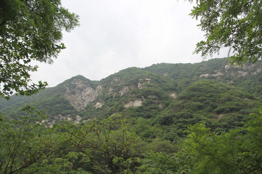 绿山