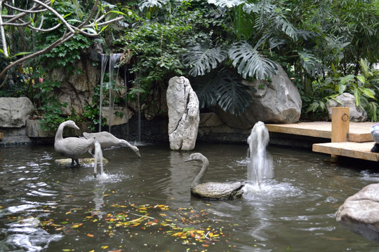 喷泉 水池 石雕