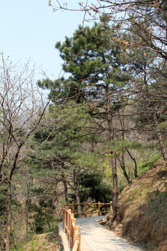 山路