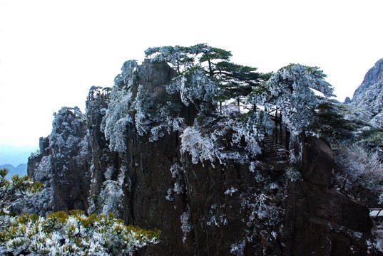 雪后黄山