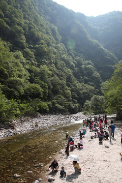 秦岭