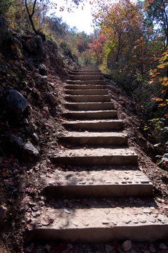 禹州大鸿寨山路