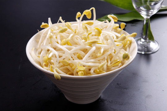 豆芽