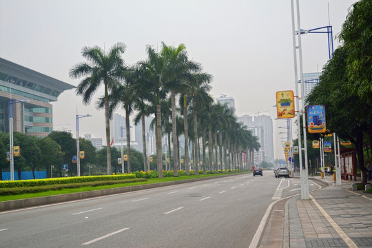 公路 路 交通 绿化 灯牌
