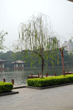 亭子 河流 小河 清水