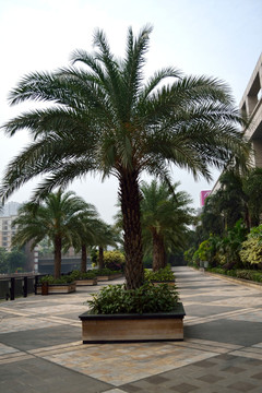 都市风景 干净道路 休闲场所