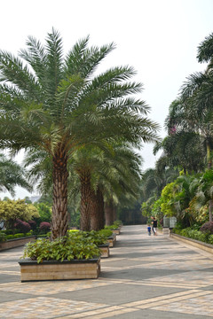都市风景 干净道路 休闲场所