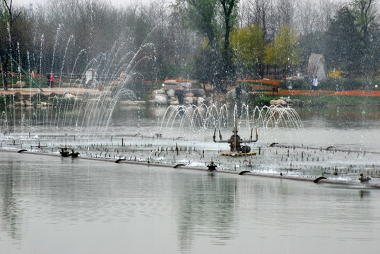 北京鲜花港  喷泉