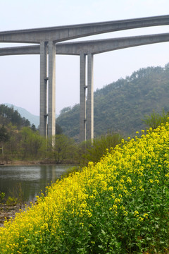 高速公路