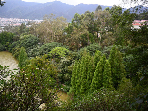 七星岩 仙掌岩