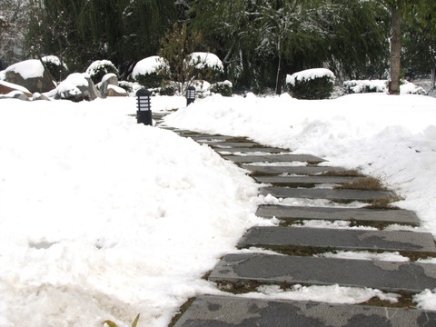 雪后公园石板路