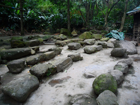 七星岩 仙掌岩原始森林