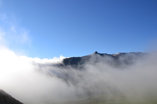 云雾中的阿尔泰山