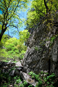 秦岭风光