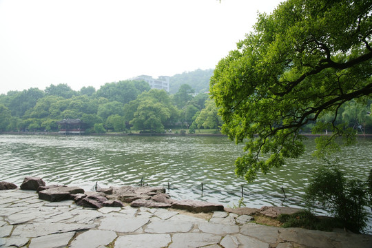 杭州西湖景色横幅图片