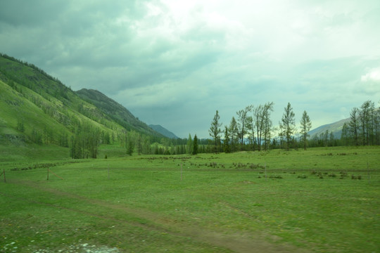 高山牧场