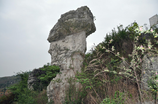 雄起山石