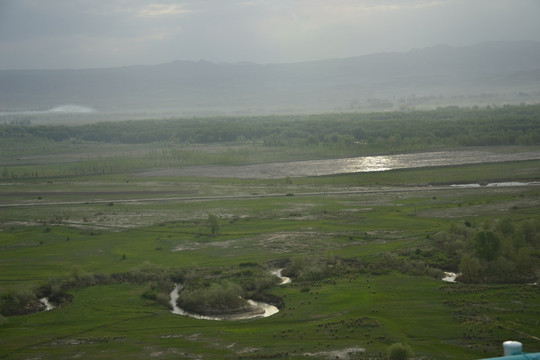 北疆牧场