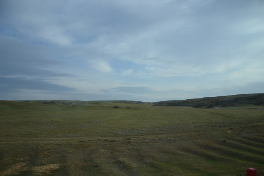 北疆草场