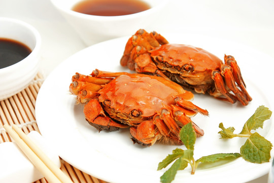 阳澄湖大闸蟹