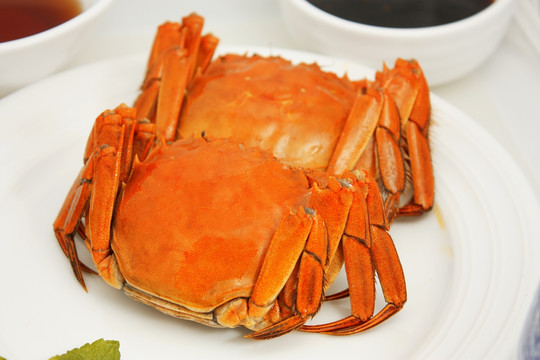阳澄湖大闸蟹