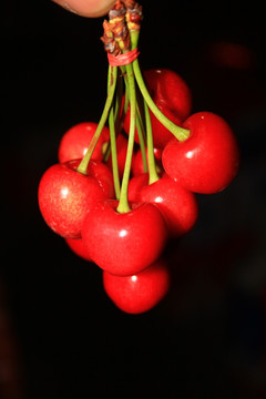 红樱桃