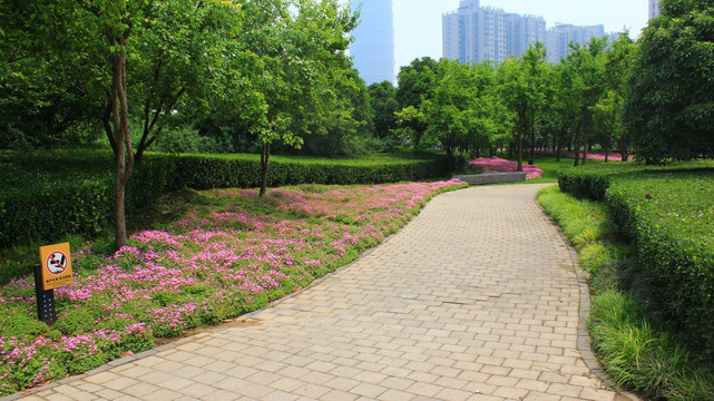 公园小路