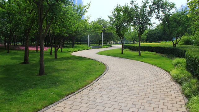 公园小路