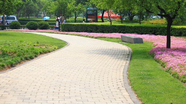 公园小路
