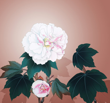 花卉图  重彩花卉系列