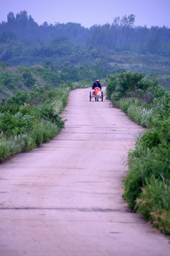 田野与农民