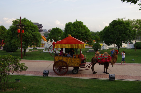 西安大唐芙蓉园骆驼车