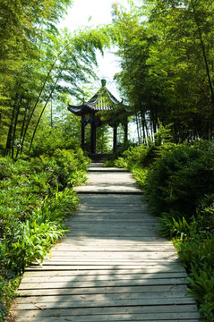 固始西九华山风景区竹林